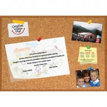 Bağış Sertifikası 01